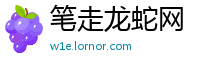 笔走龙蛇网